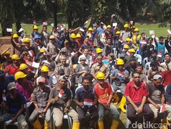 Datangi Perkebunan Sawit, Menlu Dicurhati Kondisi TKI di Malaysia