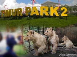 Ini Rekomendasi BKSDA untuk Jatim Park II