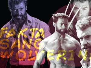 Fakta Sang Wolverine