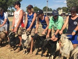 Uniknya Lomba Balap Kambing di Pedalaman Australia