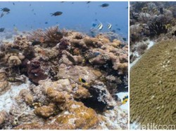 Ini Rute Detail Kapal Perusak Karang Raja Ampat