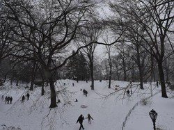 AS Dilanda Badai Salju, 220 Ribu Warga Hidup Tanpa Listrik