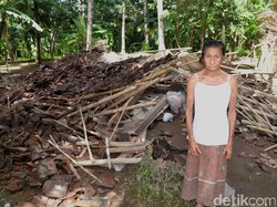 Pasutri Lansia di Banyuwangi Selamat Saat Rumahnya Ambruk