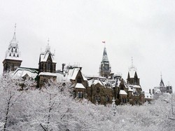 Badai Salju AS Bergerak ke Kanada, 6 Orang Tewas