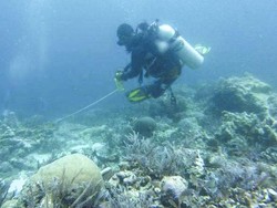 RI Evaluasi Kebijakan Kapal Pesiar di Daerah Konservasi
