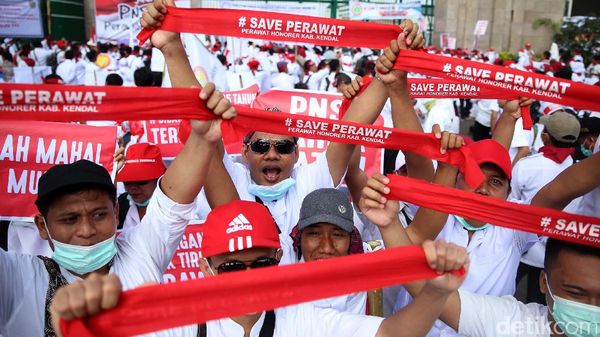 Minta Jadi PNS, Perawat Geruduk DPR