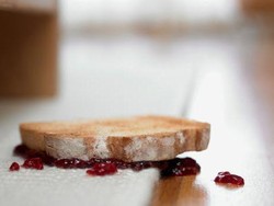 Kata Ilmuwan Makanan Jatuh Belum 5 Detik Memang Aman Dimakan