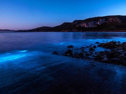 Ajaib! Saat Lautan Australia Berubah Warna Jadi Biru Bercahaya