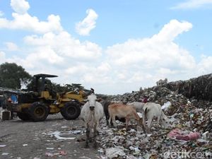Ditantang Luhut Groundbreaking PLTSa Awal Tahun, Sandi: DKI Siap Ditantang Luhut Groundbreaking PLTSa Awal Tahun, Sandi: DKI Siap