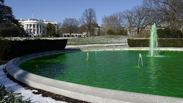 Kolam di Gedung Putih Berubah Warna Menjadi Hijau