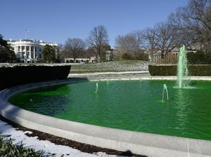 Kolam di Gedung Putih Berubah Warna Menjadi Hijau