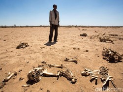 26 Orang Tewas Akibat Kelaparan di Somalia Hanya dalam 36 Jam