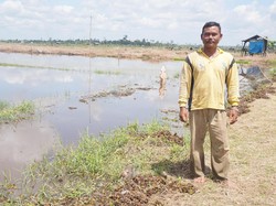 Bertani di Lahan yang Dibuka Tanpa Membakar