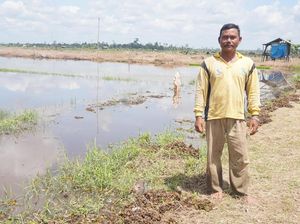 Bertani di Lahan yang Dibuka Tanpa Membakar Bertani di Lahan yang Dibuka Tanpa Membakar