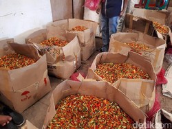 Deflasi Terjadi Karena Harga Cabai Mulai Turun