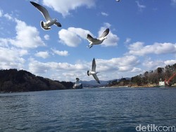 Susu dari Laut Tersegar yang Diambil dari Semenanjung Karakuwa