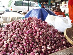 Harga Bawang Merah dan Putih di Yogyakarta Melejit