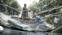 Pohon Tumbang Timpa Mobil di Jakarta