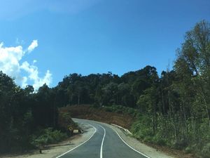 Lewat Vlog, Jokowi Update Pembangunan Jalan di Kalimantan