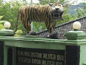 Masih Adakah Teman-teman Macan Lucu Cisewu?