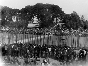 Pembantaian Harimau di Mandailing Natal dan Tradisi Rampogan Sima