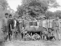 Macan di Rampogan Sima, Saat Kiai dan Simbah Dibunuh