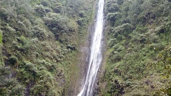 Kesegaran di Nganjuk: Air Terjun Sedudo