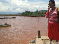 Sidak ke Kolaka, Susi Bakal Tegur Perusahaan Tambang yang Cemari Laut