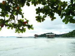 Jalan-jalan Sore di Raja Ampat, Yuk ke Pantai Waiwo!