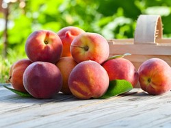 Logo Buah Peach Jadi Penanda Tempat Makanan Halal di Okayama