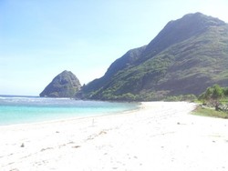 Plesir ke Pantai Tropical di Pulau Sumbawa, Ada Punuk Untanya!