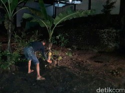 Warga Berkebun di Bahu Jalan yang Tak Kunjung Diperbaiki
