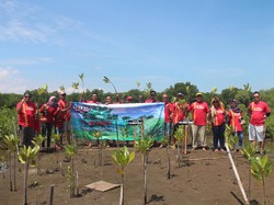 Komunitas TIC Hijaukan Indramayu