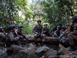 Kapolda Sulteng Blusukan, Cek Satgas Tinombala di Gunung Biru