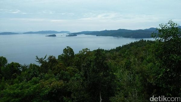 Sapokren, Rumah Cendrawasih di Raja Ampat