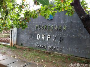 Menengok Tempat Penampungan Anjing dan Kucing Liar di Ragunan Menengok Tempat Penampungan Anjing dan Kucing Liar di Ragunan