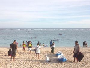 Buntut Wisata Bali Dijual Murah, Ada TKA Ilegal asal China?