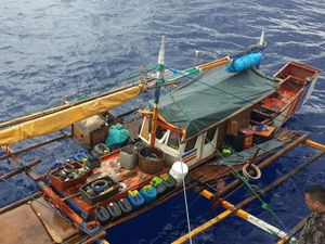 Kota di Tengah Laut Lenyap, Banyak Ikan Besar di Dekat Pantai