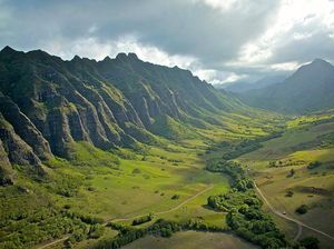 Hawaii dan Sejarah Kopi Kona yang Punya Cita Rasa Unik