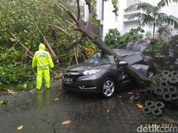 Pohon Tumbang Timpa Mobil di UGM