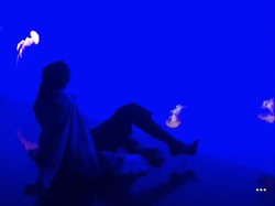 The Weeknd Ajak Selena Gomez Liburan Romantis Bersama Ubur-ubur