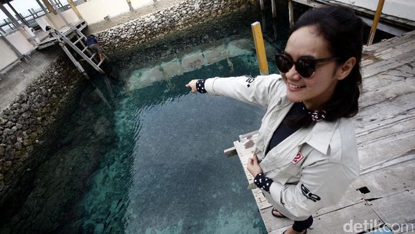 Melihat Penangkaran Penyu di Pantai Tanjung Bira