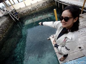 Melihat Penangkaran Penyu di Pantai Tanjung Bira Melihat Penangkaran Penyu di Pantai Tanjung Bira