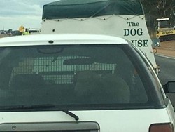 Gunakan HP Saat Nyetir, Menteri Kepolisian NSW Lapor ke Polisi