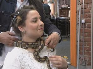 Salon Ini Sediakan Perawatan Pijat Ular yang Dililitkan di Leher Salon Ini Sediakan Perawatan Pijat Ular yang Dililitkan di Leher