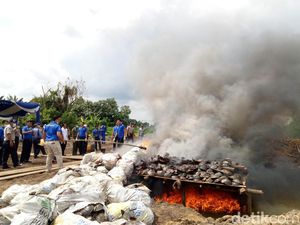Polair Polda Sumsel Musnahkan 8.000 Ketam Tapak Kuda