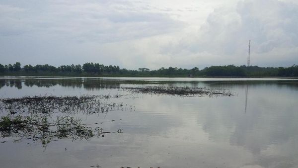 Keperawanan Situ Cikamar dan Harapan Warga Jadi Destinasi Baru Purwakarta