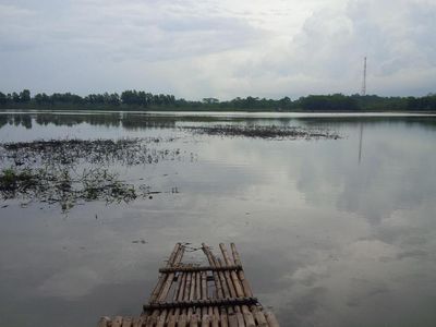 Keperawanan Situ Cikamar dan Harapan Warga Jadi Destinasi Baru Purwakarta