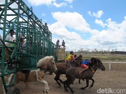 Atraksi Keren di Atambua: Pacuan Kuda