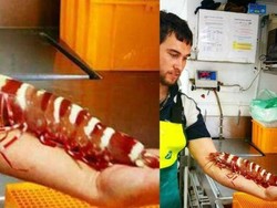 Udang Sebesar Lengan Pria Dewasa Tertangkap di Australia